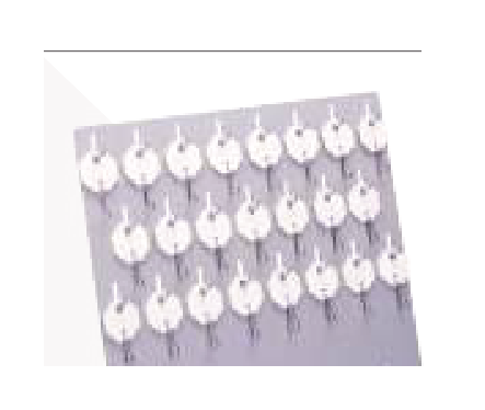 Lund catalog 520