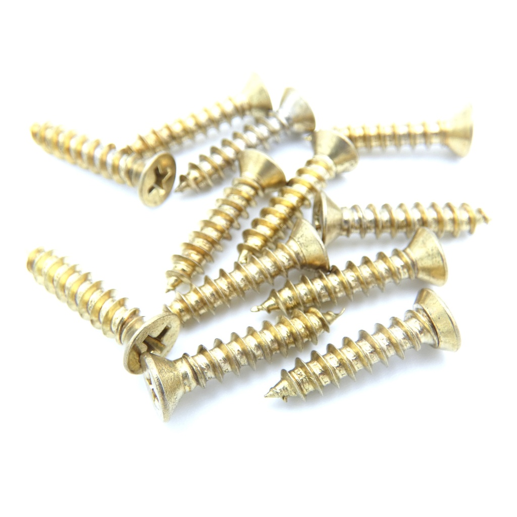 GKL HSP-WSBR US4 Retrofit Wood Screws for Hinges – 12-Pack