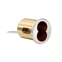 Accentra 1212 LFIC 6-Pin Rim Cylinder Housing | Large Format Interchangeable Core, Less Core - Yale 