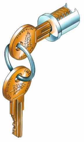 CompX C200LP-8 Timberline Removable Lock Plug 
